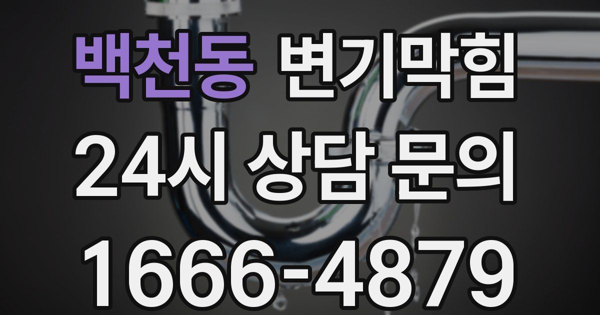 백천동 변기