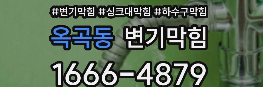 변기막힘