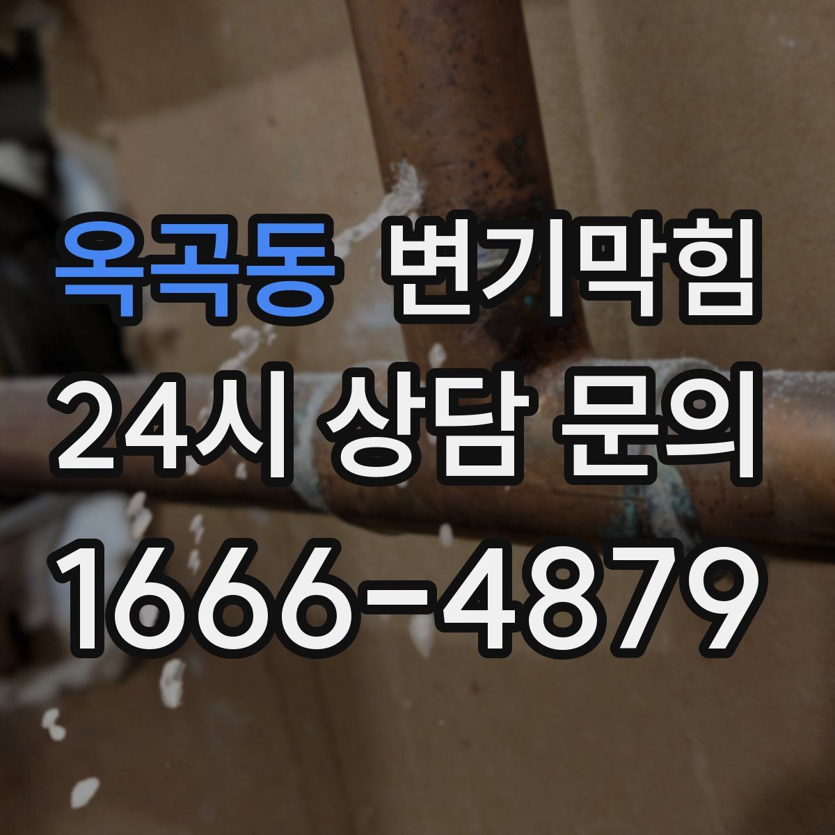 옥곡동 변기막힘