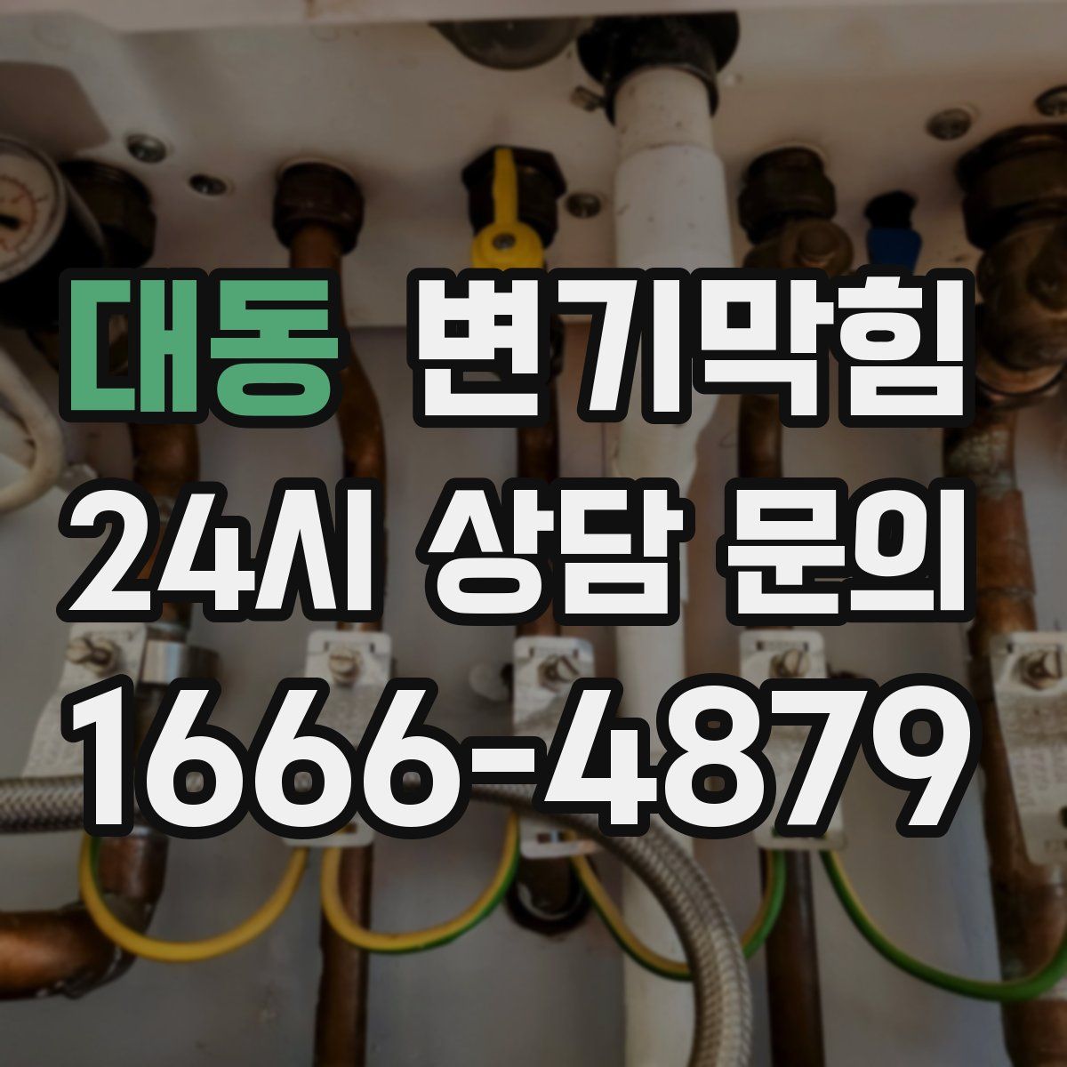 대동 변기막힘