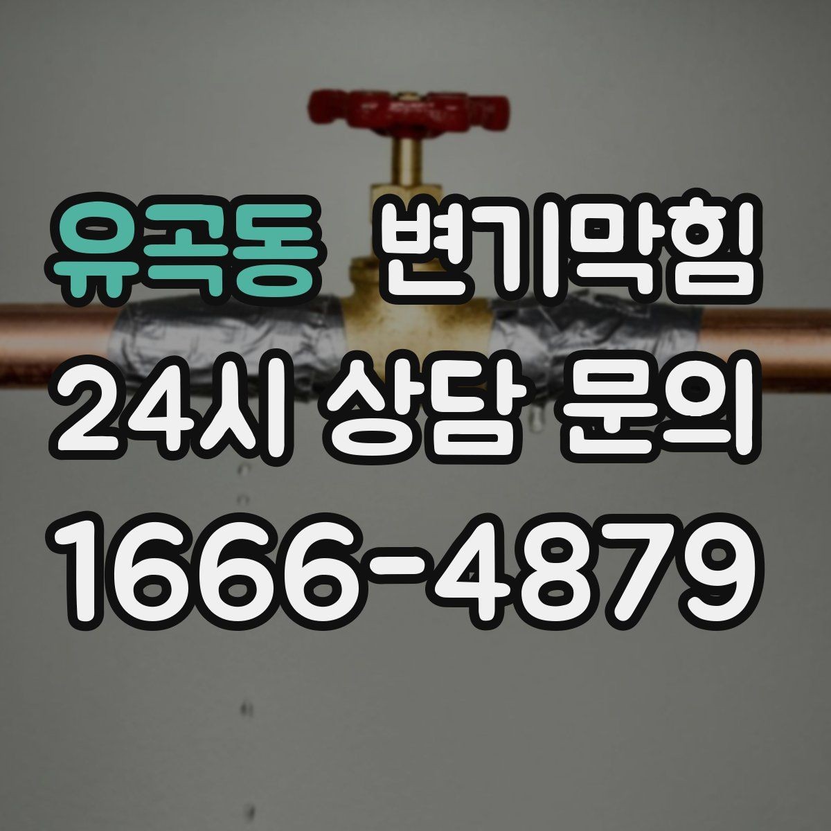 유곡동 변기막힘 단독 주택 변기뚫는방법 변경 체감기