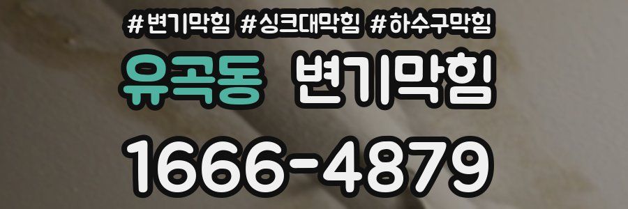 변기막힘