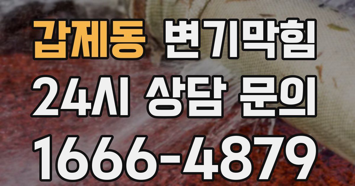 갑제동 변기