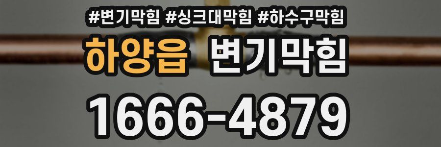 변기막힘