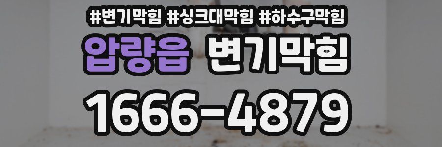 변기막힘