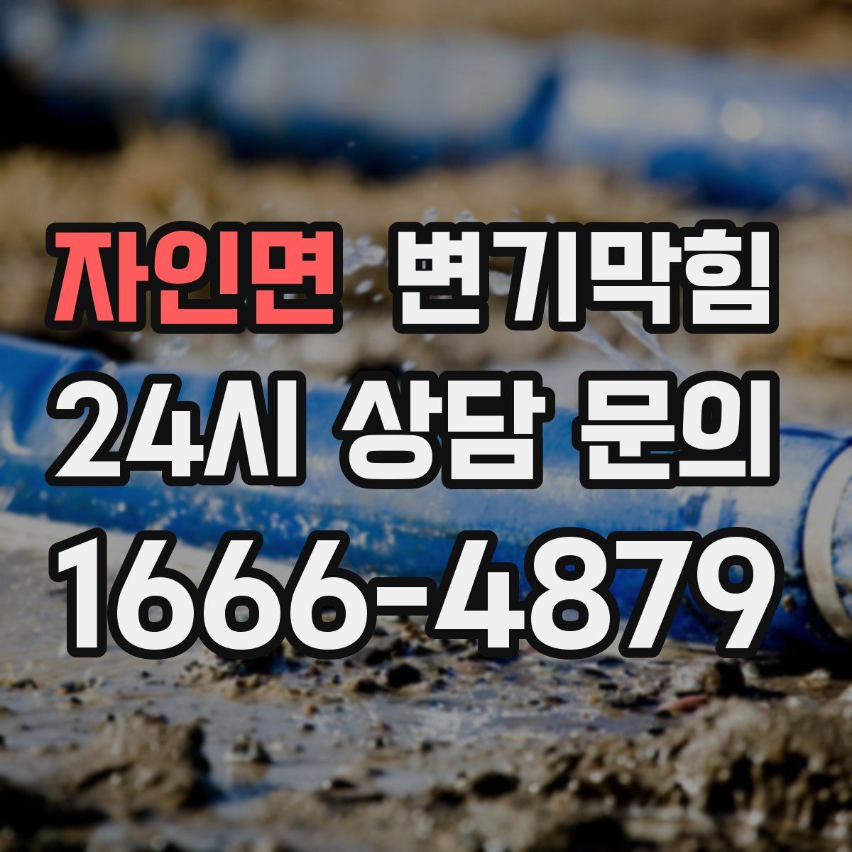 자인면 변기막힘