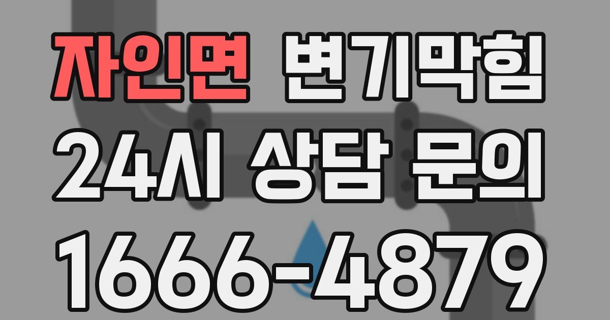 자인면 변기