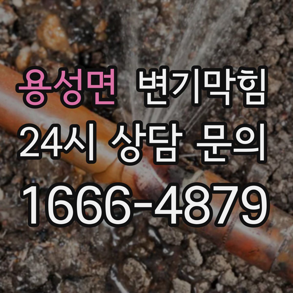 용성면 변기막힘