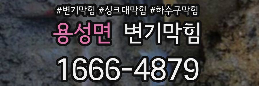 변기막힘