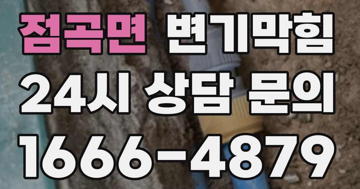 점곡면 변기