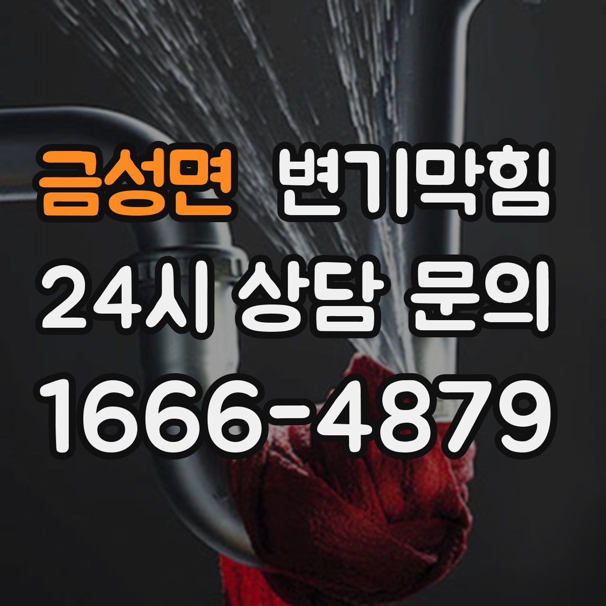 금성면 변기막힘