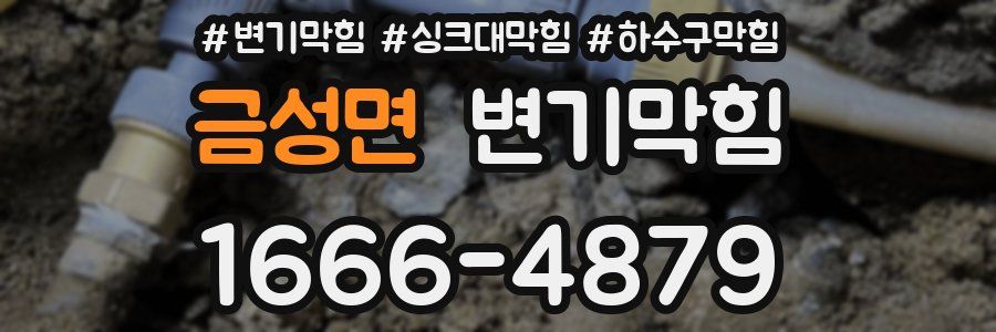 변기막힘