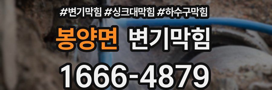 변기막힘