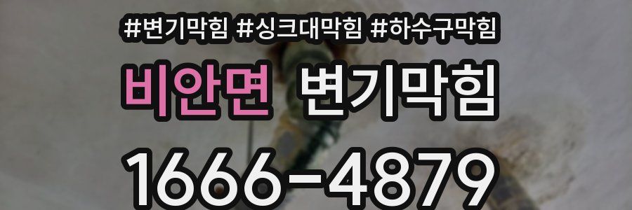 변기막힘