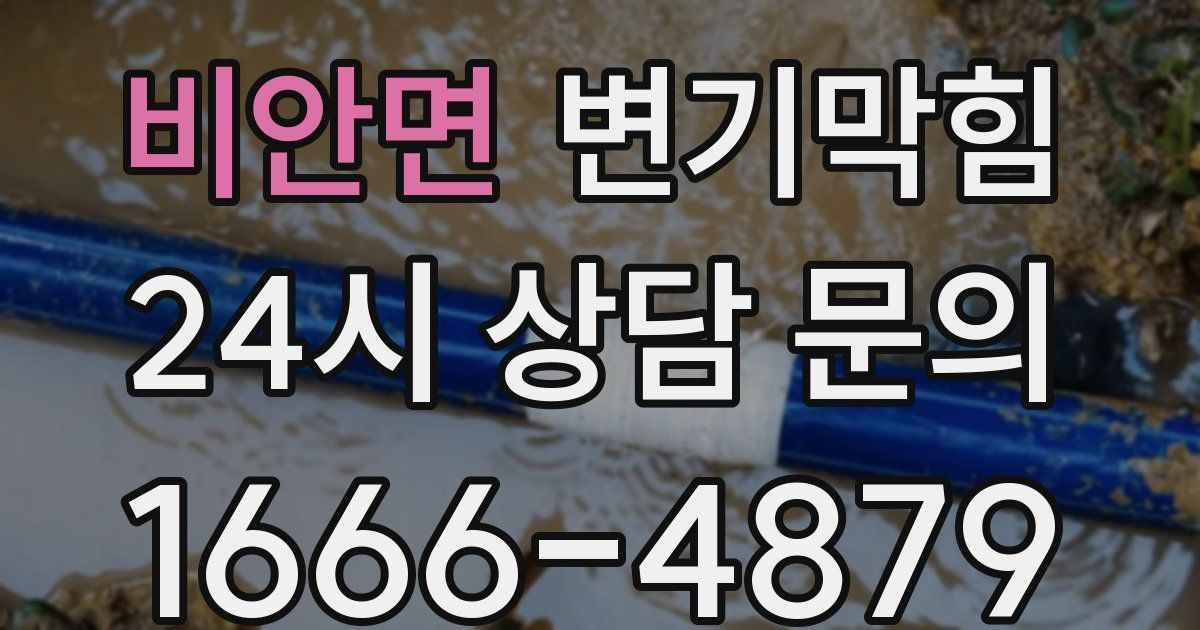 비안면 변기