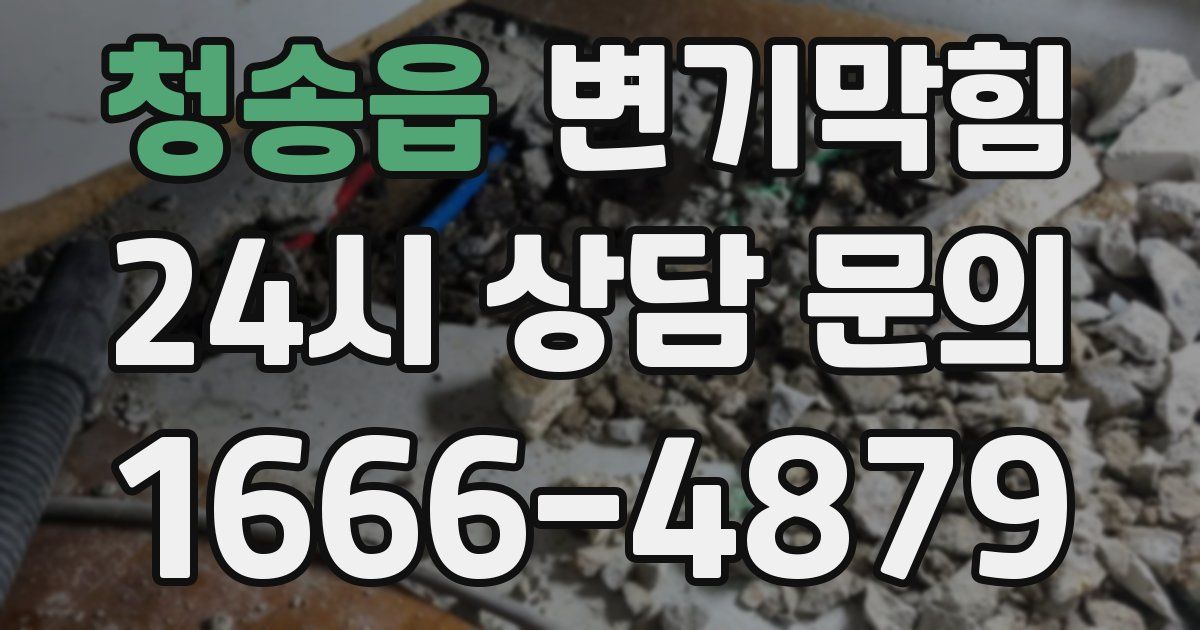 청송읍 변기