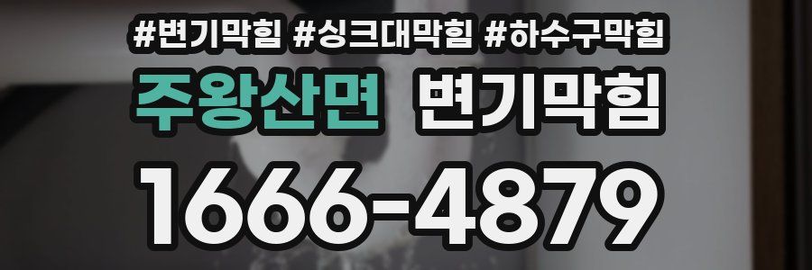 변기막힘
