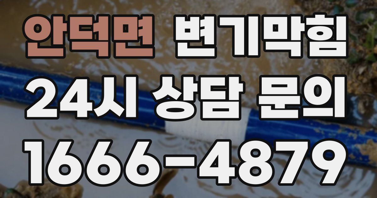 안덕면 변기