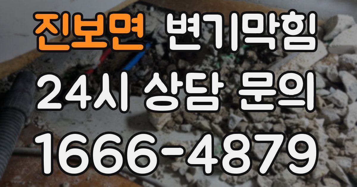 진보면 변기