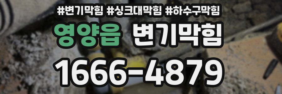 변기막힘