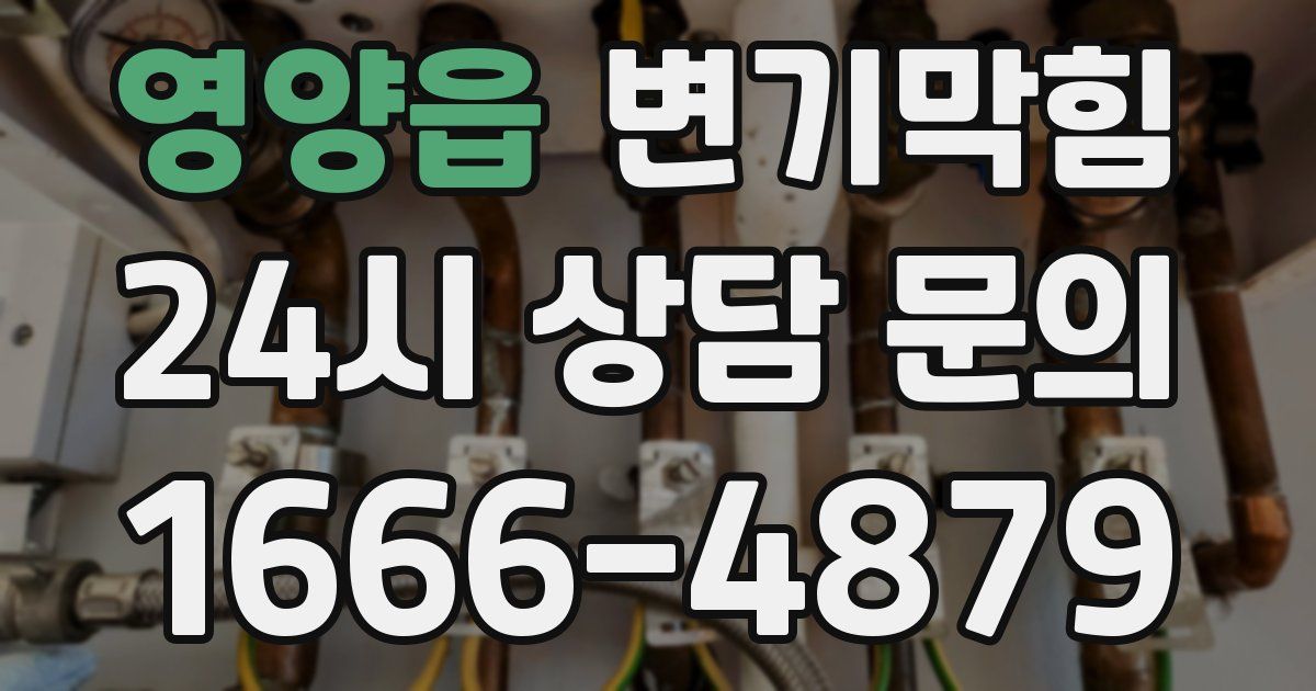 영양읍 변기