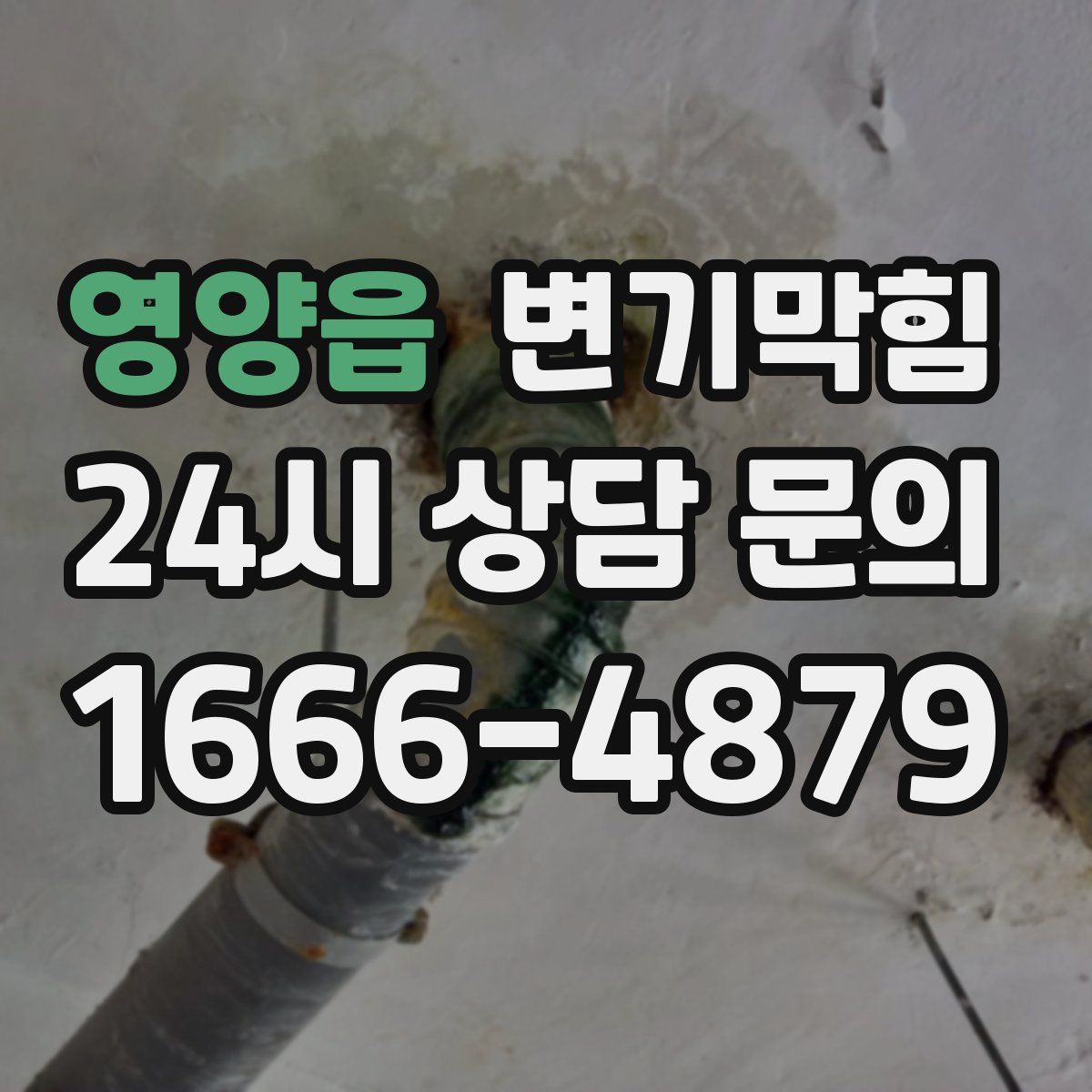 영양읍 변기막힘