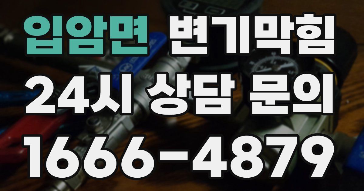 입암면 변기