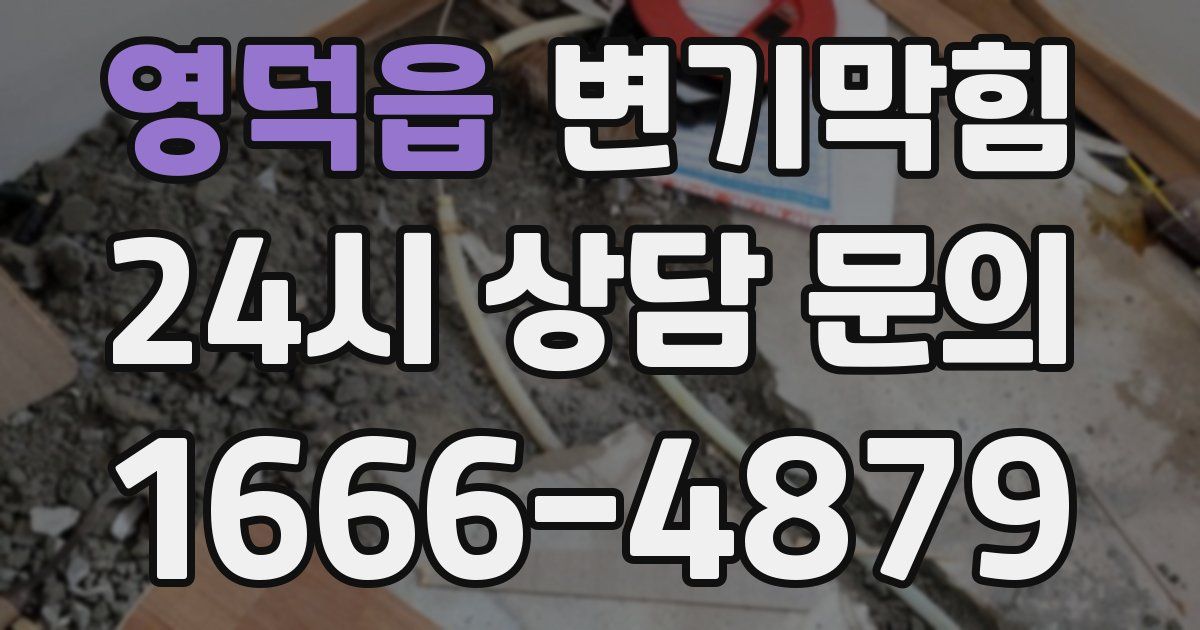 영덕읍 변기