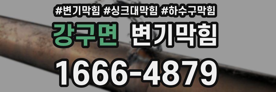 변기막힘