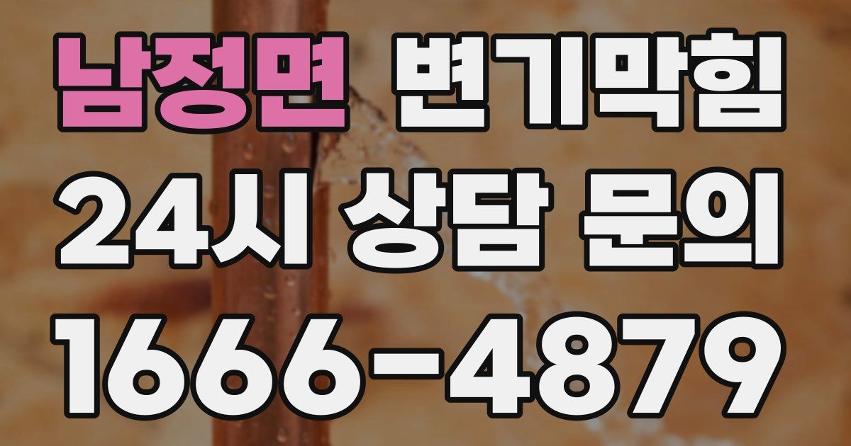 남정면 변기
