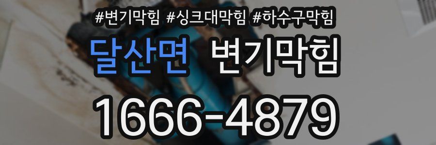 변기막힘