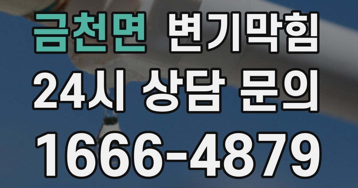 금천면 변기