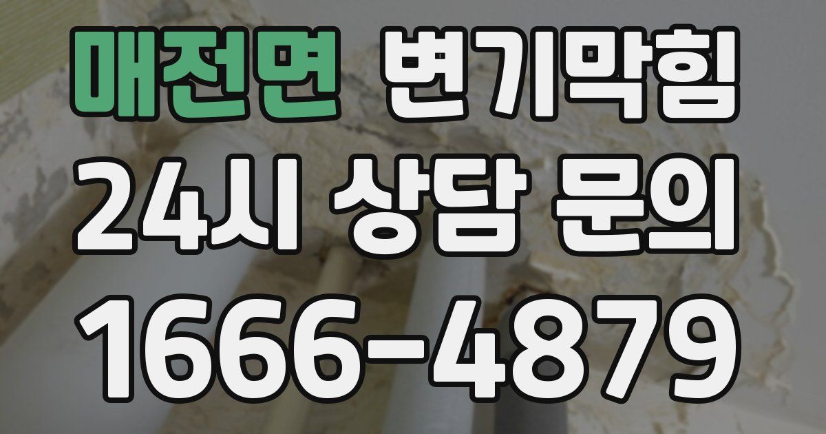 매전면 변기