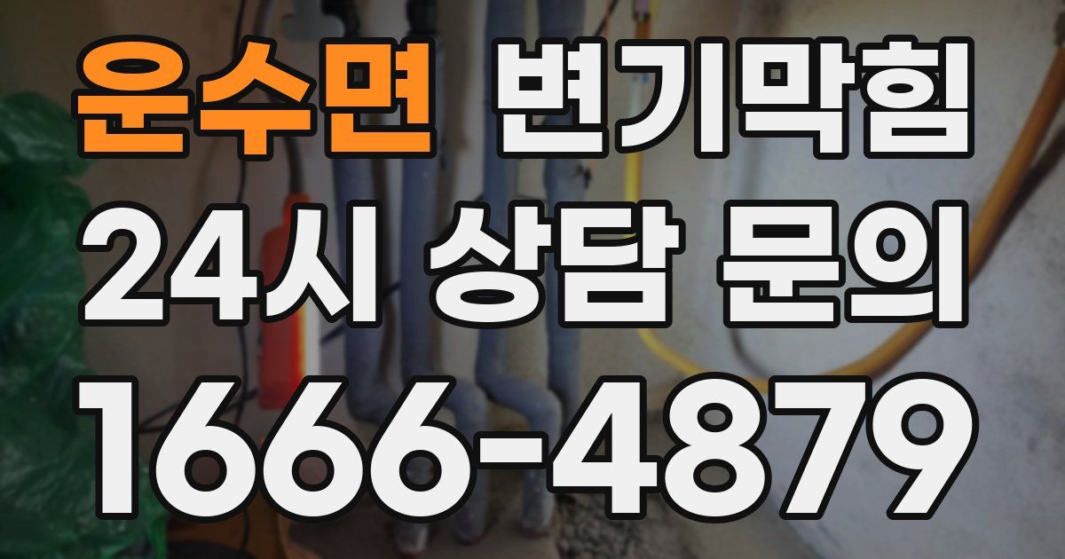 운수면 변기