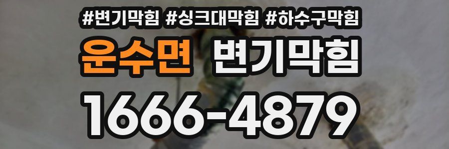 변기막힘