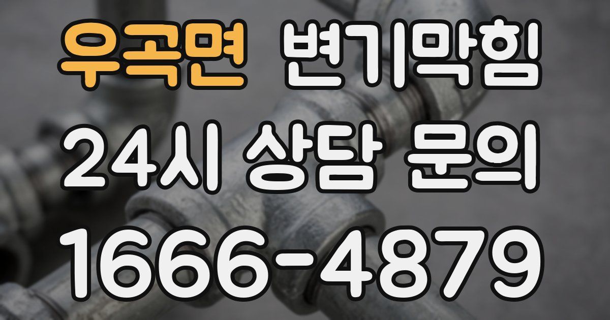 우곡면 변기