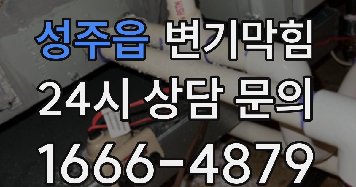 성주읍 변기