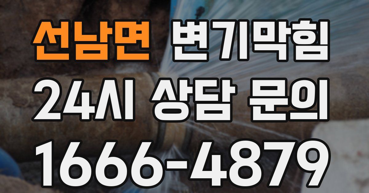 선남면 변기
