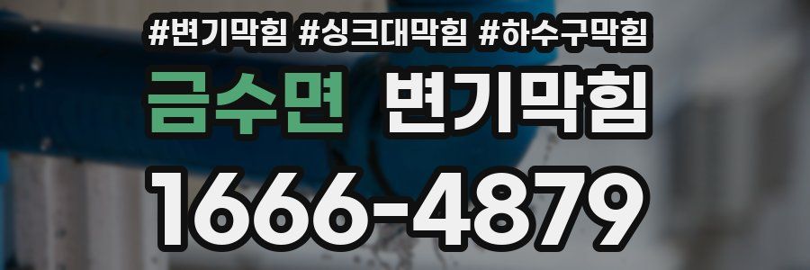 변기막힘