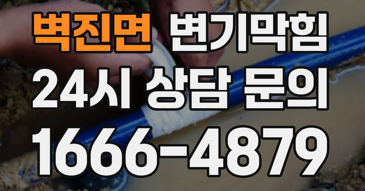벽진면 변기