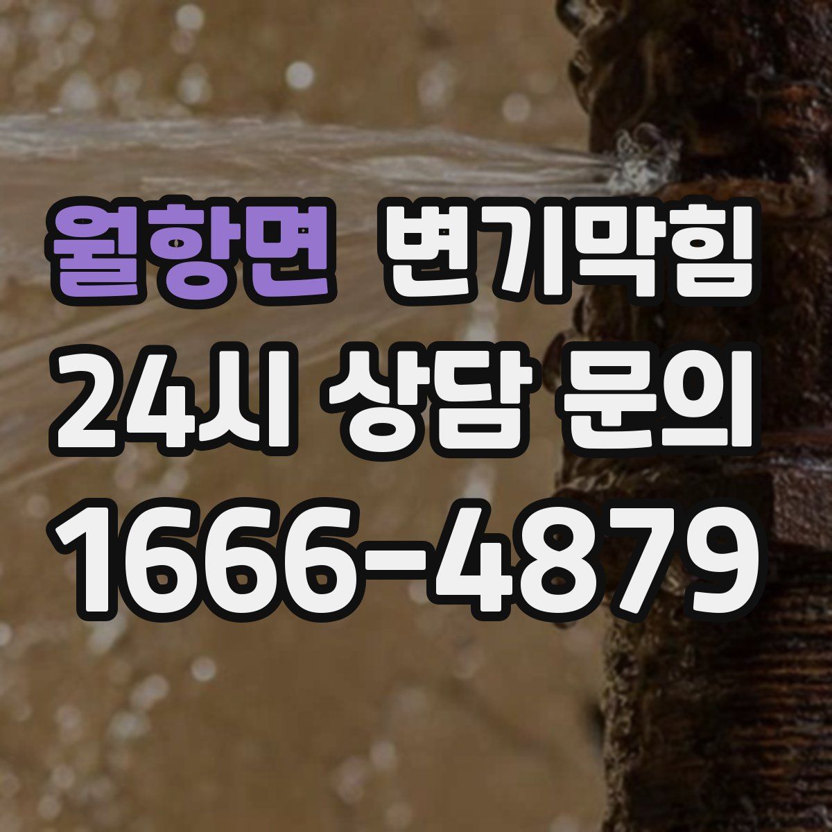 월항면 변기막힘