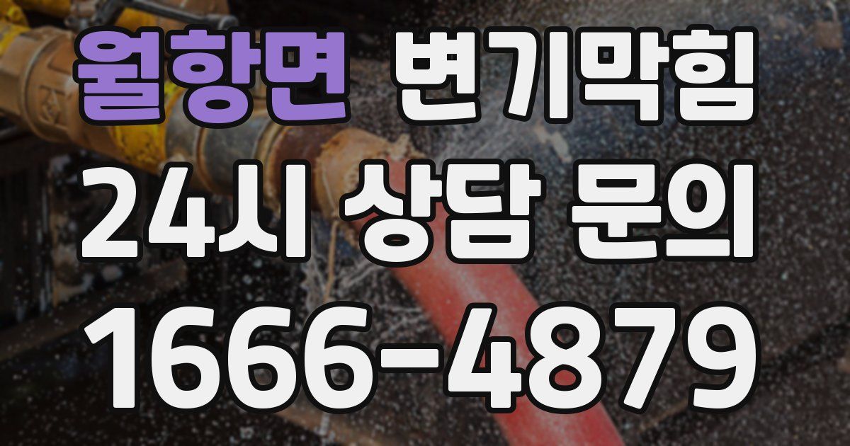 월항면 변기