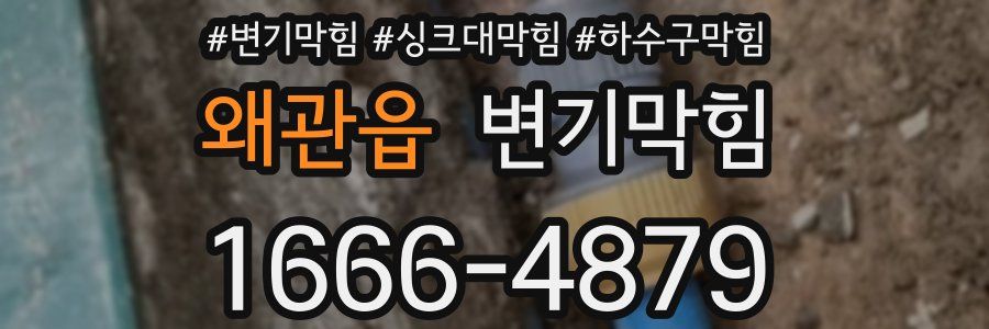변기막힘