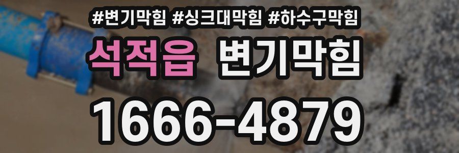 변기막힘