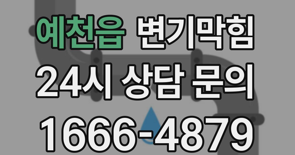 예천읍 변기