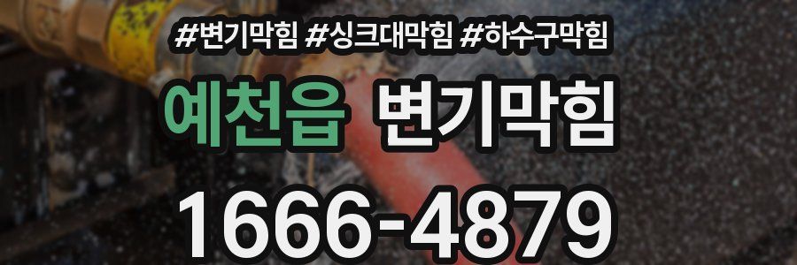 변기막힘