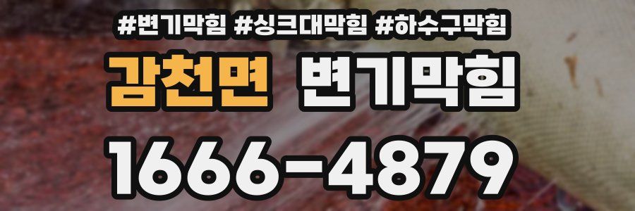 변기막힘