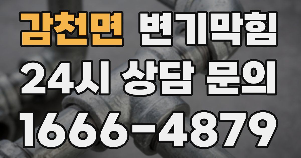 감천면 변기