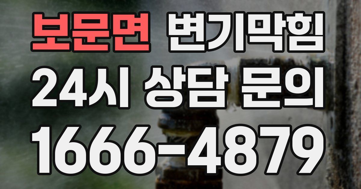 보문면 변기