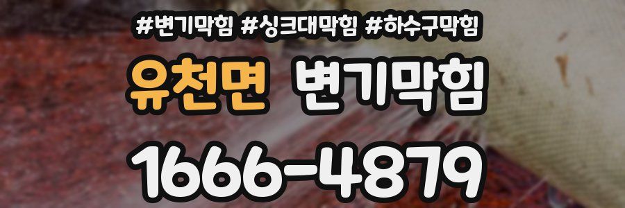변기막힘